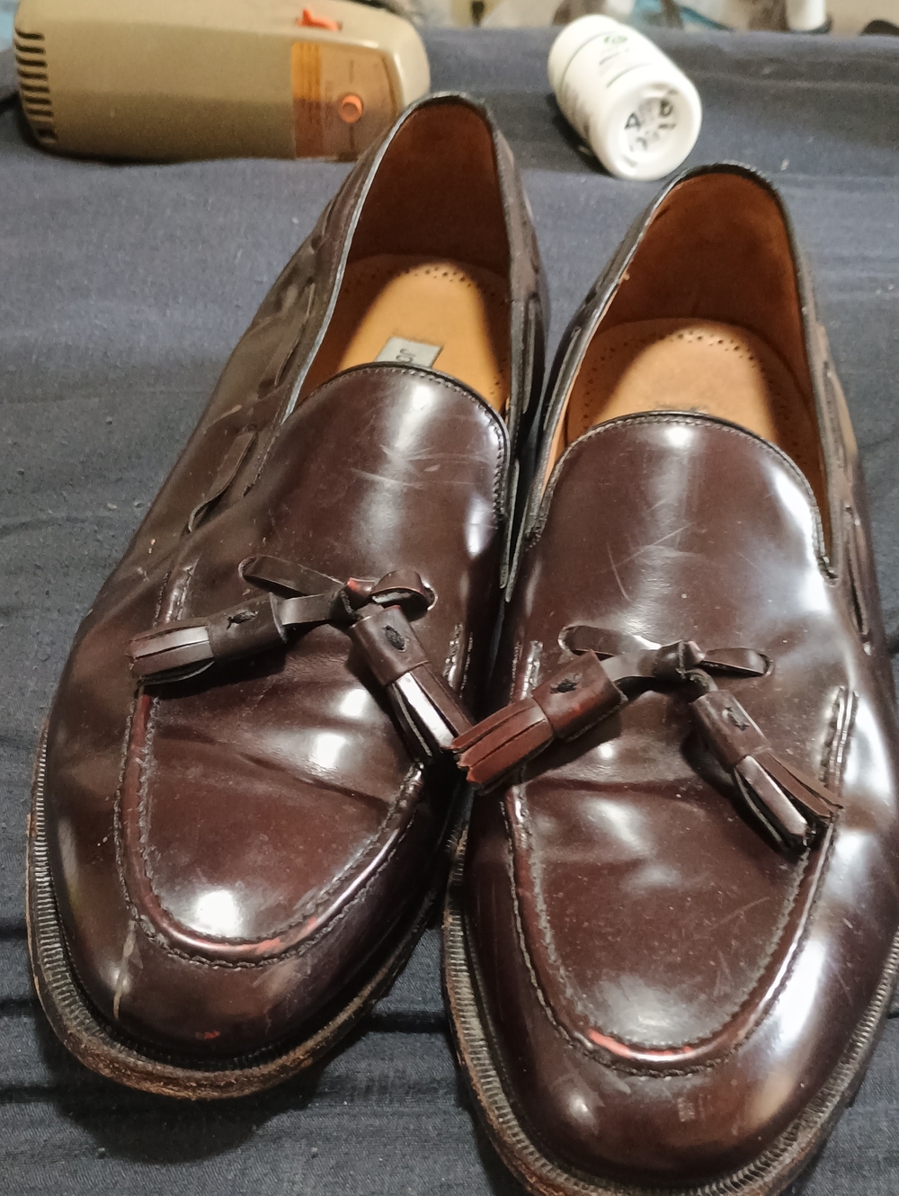 Men's Tassel Loafers in Dark Brown - Classic Slip-On Dress Shoes (248) 12 D